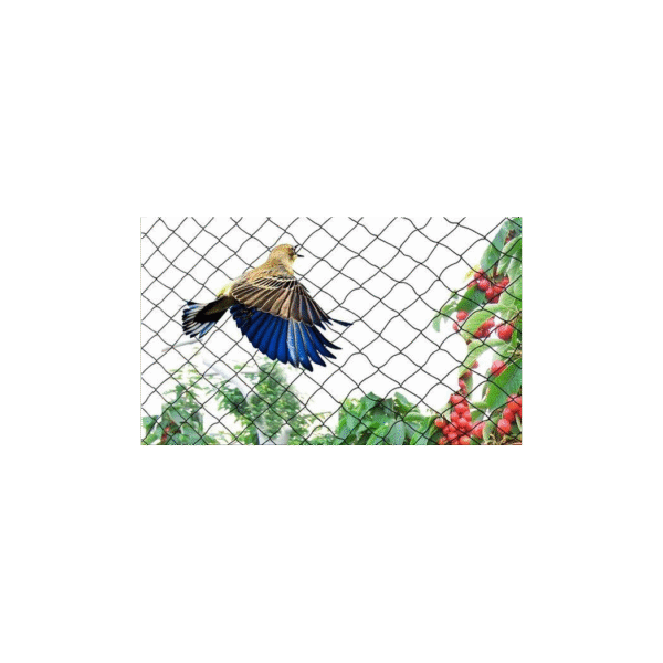 Pack of 10 Garden Netting 2m x 10m – Durable UV Mesh Garden Free Shipping 7