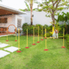 Portable Pet Agility Training Set: Jump Poles, Ring, Turnstile, Carry Bag