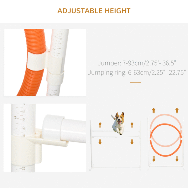 Six-Piece Dog Agility Training Set with Carry Bag - Multicolor, Adjustable