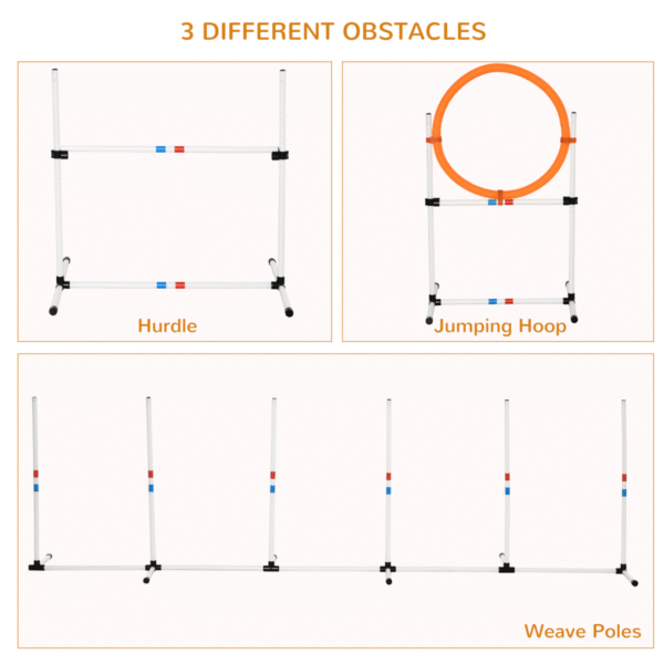 3-Piece Suit Portable Pet Agility Training Set for Dogs Obstacle Course Horse & Petcare Free Shipping 13