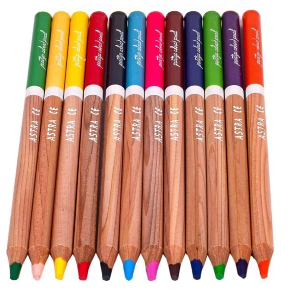 12 Premium Colouring Pencils Set Tin Assorted Colours Adult Artist Crayons Gift Arts & Crafts Supplies Free Shipping 13