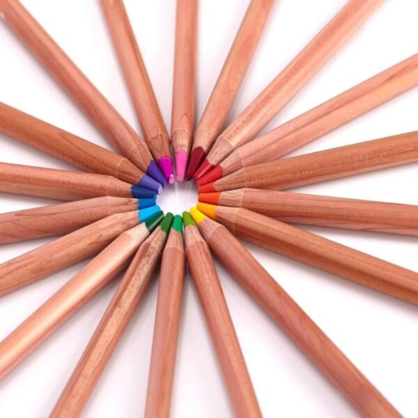 12 Premium Colouring Pencils Set Tin Assorted Colours Adult Artist Crayons Gift Arts & Crafts Supplies Free Shipping 15