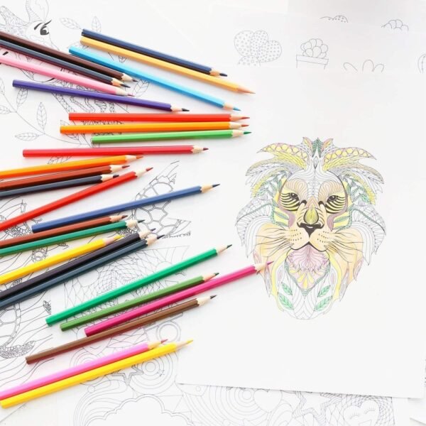 12 Premium Colouring Pencils Set Tin Assorted Colours Adult Artist Crayons Gift Arts & Crafts Supplies Free Shipping 27