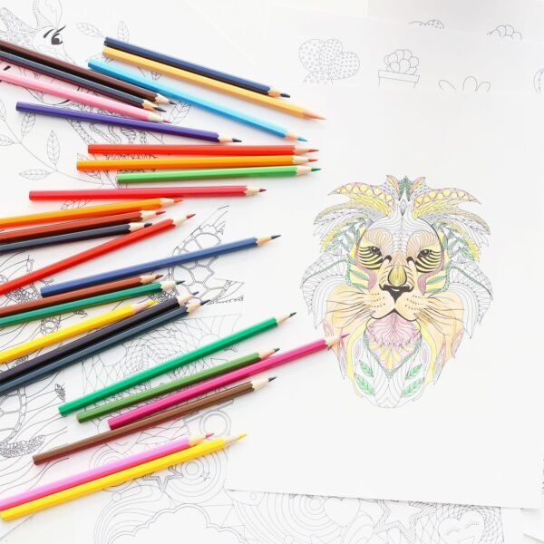 Watercolour Pencils Set – 12 or 24 Colouring Pencils in Metal Tin Box with Paintbrush Arts & Crafts Supplies Free Shipping 27