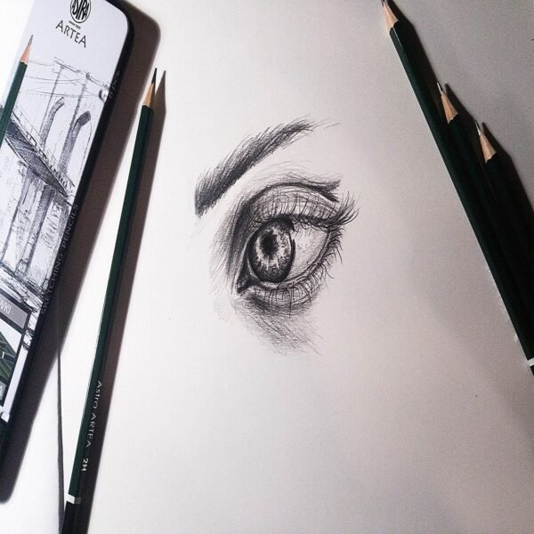 Art Sketching Pencil Set Professional Artist Drawing Graphite 6 Pencils in Tin Case Arts & Crafts Supplies Free Shipping 21