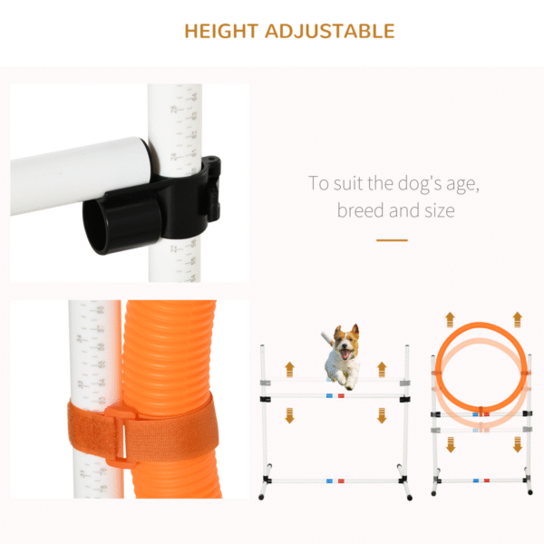 3-Piece Suit Portable Pet Agility Training Set for Dogs Obstacle Course Horse & Petcare Free Shipping 15
