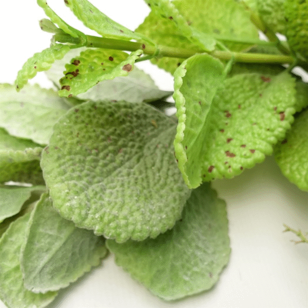 125cm Adjustable Artificial Mint Leaf Garland – Perfect Home Décor Home & Garden Free Shipping 9