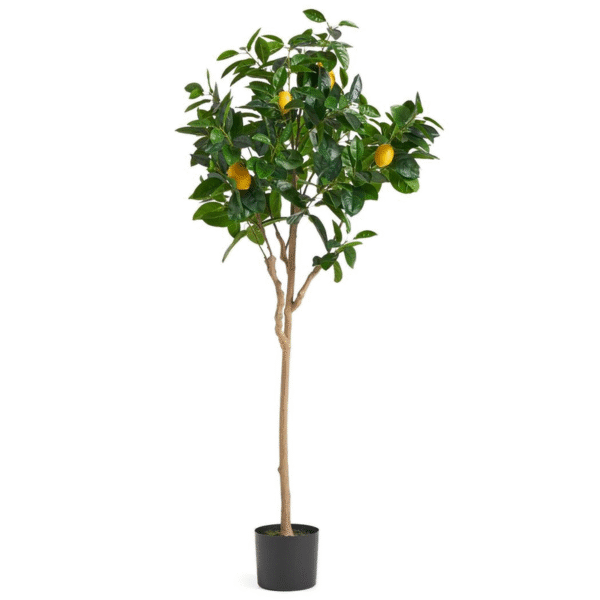 150cm Realistic Artificial Lemon Tree – Perfect Home & Garden Decor Home & Garden Free Shipping 5