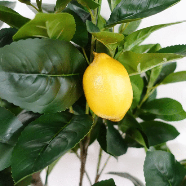150cm Realistic Artificial Lemon Tree – Perfect Home & Garden Decor Home & Garden Free Shipping 11