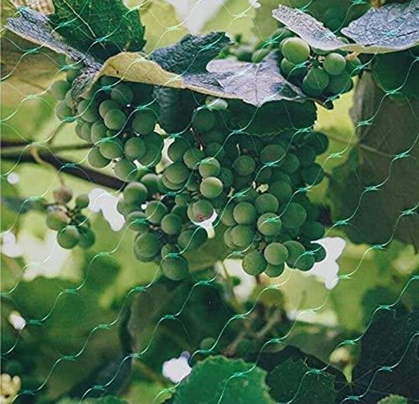 Bird Netting Garden 4 Pack 10x2m – Durable Pest Protection Garden Free Shipping 15