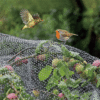 12-Pack Anti Bird Garden Netting Home & Garden Free Shipping 17