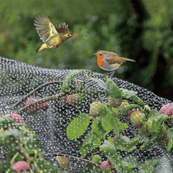 12-Pack Anti Bird Garden Netting Home & Garden Free Shipping 7