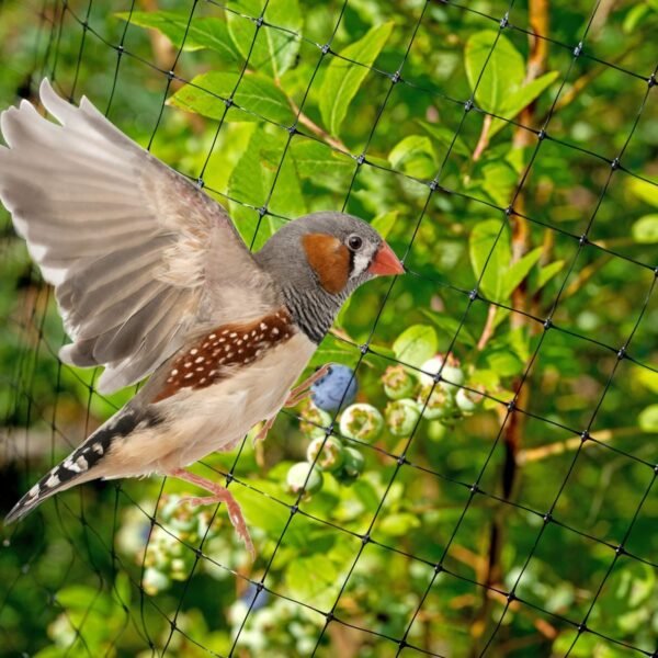 Pack of 10 Garden Netting 2m x 10m – Durable UV Mesh Garden Free Shipping 15