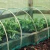 6-Pack Garden Netting 2m x 10m – Durable Protective Mesh for Plants Home & Garden Free Shipping 27