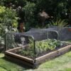 6-Pack Garden Netting 2m x 10m – Durable Protective Mesh for Plants Home & Garden Free Shipping 25