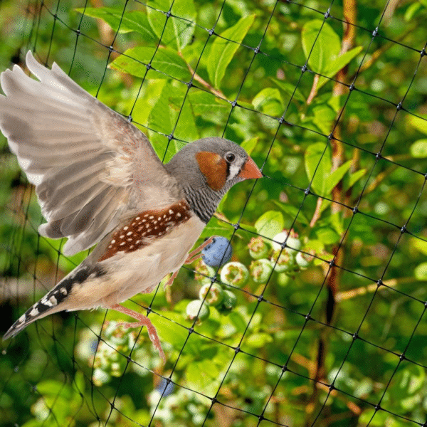 6-Pack Garden Netting 2m x 10m – Durable Protective Mesh for Plants Home & Garden Free Shipping 17