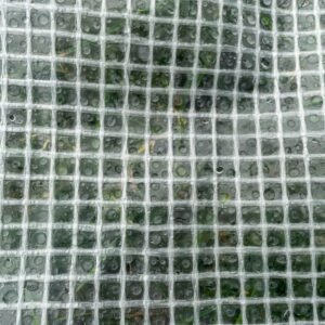 Clear M-Grade Tarpaulin with 10m of 6mm Bungee Rope and 10 x Home & Garden Free Shipping