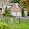 Puppy Play Pen 16 Panels Heavy-Duty 80cm H for Small & Med Dogs Dogs Free Shipping 23