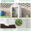 Greenhouse Portable Outdoor Plant Grow House with Shelves Greenhouses & Cold Frames Free Shipping 31