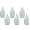 Glass Demijohn 5L 6 Pack Swing Top Cap Home & Garden Free Shipping 15