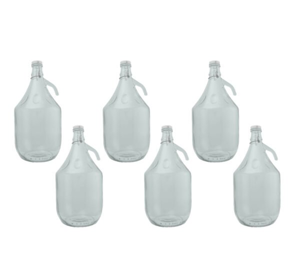 Glass Demijohn 5L 6 Pack Swing Top Cap Home & Garden Free Shipping 5