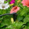 Antelco asta drip 8l/h pressure compensating spike drippers – antelco micro irrigation fitting uk micro irrigation free shipping 27
