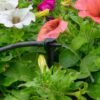 Antelco asta drip 8l/h pressure compensating spike drippers – antelco micro irrigation fitting uk micro irrigation free shipping 29
