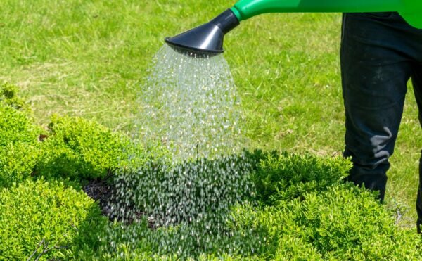 Garden Watering Can 10 Litres Home & Garden Free Shipping 17