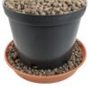 Expanded Clay Aggregate, KERAMZYT, Grade 4-8mm
