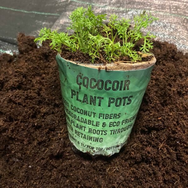 Coco coir, natural growing pot – coco coir growing medium uk coco coir free shipping 9