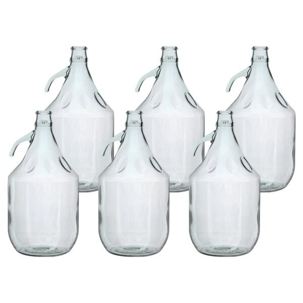 Glass Demijohn 5L 6 Pack Plain Home & Garden Free Shipping 5