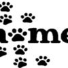 Doormat 60cm x 40cm - 'Home' (Paws)