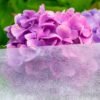 30g Non-Woven Frost Protect Fleece 3.2m x 5m Gardening Supplies Free Shipping 21