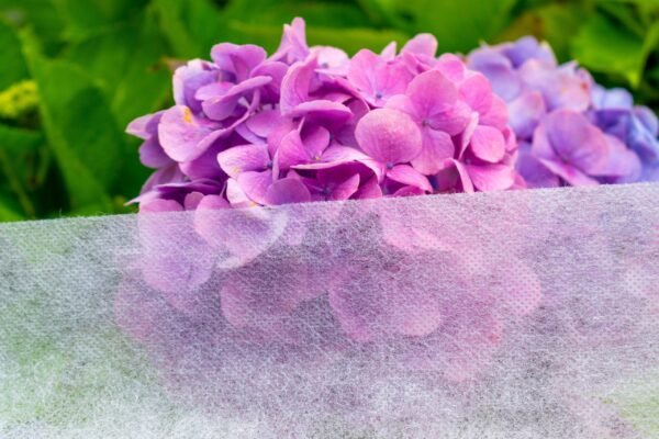 30g Non-Woven Frost Protect Fleece 3.2m x 5m Gardening Supplies Free Shipping 11