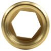 Thread Conversion Cap 1" BSPM - 3/4" BSPF, Brass
