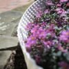 Lawn edging, plastic palisade rattan effect, 2. 4m, black