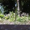 Lawn edging, plastic palisade slate effect, 2. 38m, gray – plastic lawn edging border uk