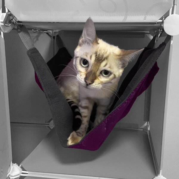 Kitty Cubby Cat Cube Play Tower MAXI Cats Free Shipping 17