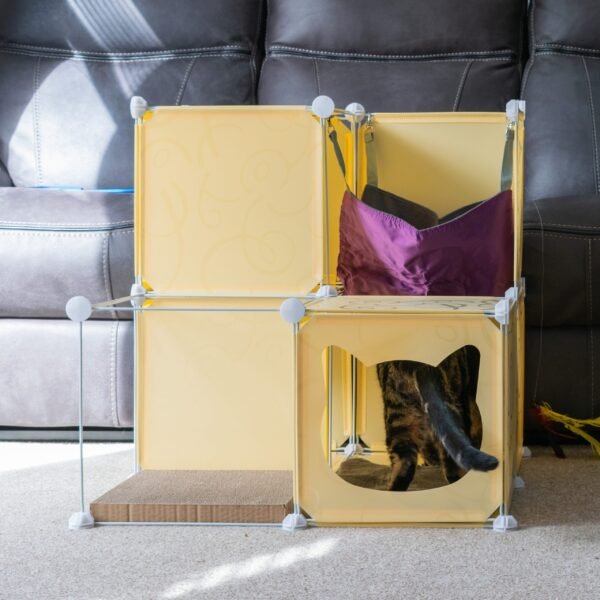 Kitty Cubby Cat Cube Play Tower MIDI Cats Free Shipping 149