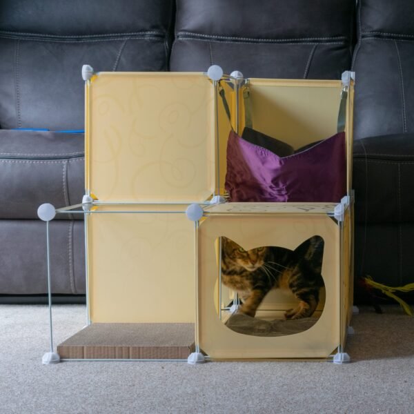 Kitty Cubby Cat Cube Play Tower MIDI Cats Free Shipping 213