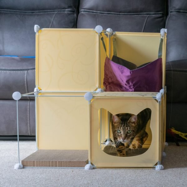 Kitty Cubby Cat Cube Play Tower MIDI Cats Free Shipping 215