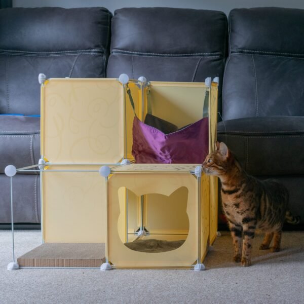 Kitty Cubby Cat Cube Play Tower MIDI Cats Free Shipping 157
