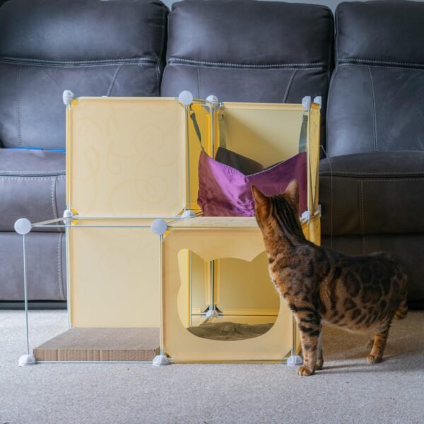 Kitty Cubby Cat Cube Play Tower MIDI Cats Free Shipping 219
