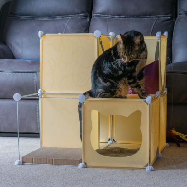 Kitty Cubby Cat Cube Play Tower MIDI Cats Free Shipping 221