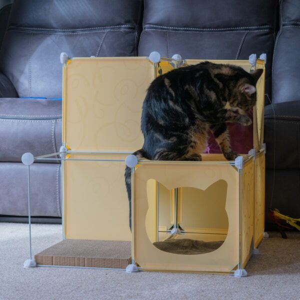 Kitty Cubby Cat Cube Play Tower MIDI Cats Free Shipping 223