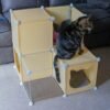 Kitty Cubby Cat Cube Play Tower MIDI Cats Free Shipping 465