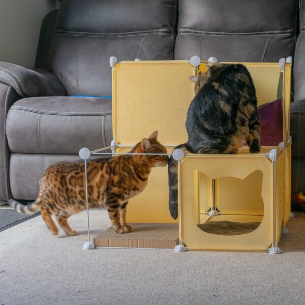 Kitty Cubby Cat Cube Play Tower MIDI Cats Free Shipping 227