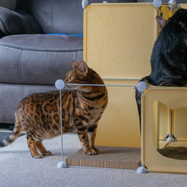 Kitty Cubby Cat Cube Play Tower MIDI Cats Free Shipping 229