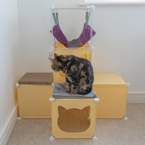 Kitty Cubby Cat Cube Play Tower MIDI Cats Free Shipping 231