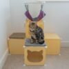 Kitty Cubby Cat Cube Play Tower MIDI Cats Free Shipping 473